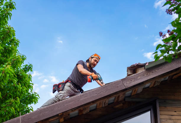 Best Asphalt Shingle Roofing  in Rupert, ID